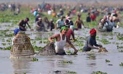 Hindistan'da Bhogali Bihu festivali için toplu halde balık tutuldu