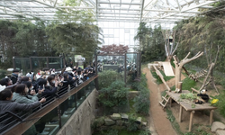 Güney Koreliler dev panda Fu Bao'yu son kez görmek için tema parkına akın etti