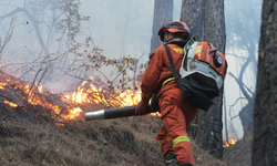 Çin'in Sichuan eyaletinde çıkan orman yangınını söndürmek için çalışmalar devam ediyor