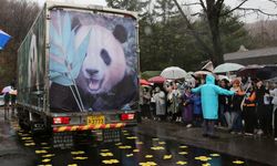 Güney Koreliler dev panda Fu Boa'yu uğurladı