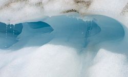 Yeni Zelanda buzulları küçülmeye devam ediyor