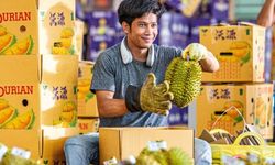 Tayland'da durian hasadı ve satışları için hummalı bir çalışma yürütülüyor