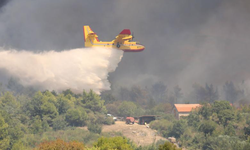 Hırvatistan'da orman yangınına uçaklarla müdahale ediliyor