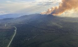 Kanada'nın British Columbia eyaleti 300'ün üzerinde orman yangınıyla mücadele ediyor