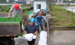 Çin'in Shanghai kentinde yüz binlerce kişi Pulasan Tayfunu nedeniyle tahliye edildi