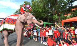 Tayland'da Noel temalı kostüm giyen fil çocuklara hediye dağıttı