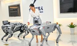 Çin'in Chongqing Belediyesi gelişmiş robot endüstrisi ile öne çıkıyor