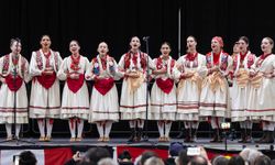 Kanada'da düzenlenen Carassauga Kültürler Festivali renkli sahne performanslarıyla dikkat çekti