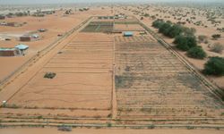 Çin-Afrika Yeşil Teknoloji Parkı çölleşmeye karşı mücadeleye önemli katkılar sağlıyor