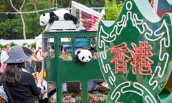 Çin'in Hong Kong Özel İdari Bölgesi, yılın ilk beş ayında yaklaşık 20 milyon ziyaretçi ağırladı