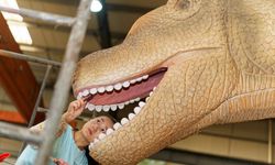 Çin'in Zigong kenti fener sanatı ve dinozor maketleriyle küresel marka haline geldi