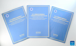 Think tank report highlights China's poverty alleviation experience