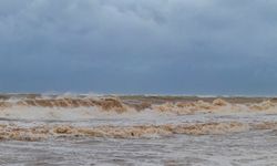 Yeni Zelanda tüm vatandaşlarının cep telefonlarına tsunami uyarısı gönderdi