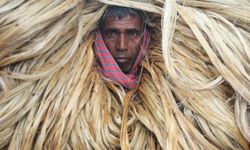 Bangladeş'te jütlere bürünmüş bir işçi