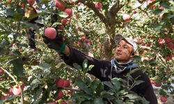Çin'in Xinjiang bölgesi ile Dubai arasında direkt hava kargo rotası başlatıldı