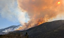 Kanada'nın British Columbia eyaleti 137 aktif orman yangınıyla mücadele ediyor