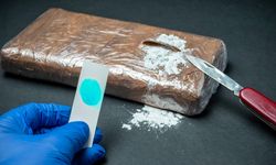 Bulgaristan'da güneş panellerinin içine gizlenmiş 50 kilogram uyuşturucu ele geçirildi
