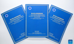 Report sheds light on global value of China's green push