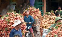 Vietnam Başbakanı Pham, ABD ile gümrük vergisi müzakerelerinin sürmesi için talimat verdi