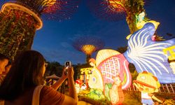 Singapur'da düzenlenen Güz Ortası Festivali renkli görüntülere sahne oldu