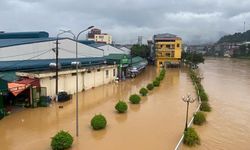 Vietnam'ı Bualoi Tayfunu vurdu: 27 ölü, 112 yaralı