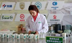 Çin'in Xinjiang bölgesi 2025'in ilk dokuz ayında 119 milyar dolar değerinde yatırım aldı