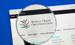 Çin: Dünya Ticaret Örgütü üyeleri, ticari çalkantılara karşı ortak mücadele sergilemeli