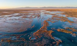 Çin'deki Dasugan Gölü ve Xiaosugan Gölü ekolojik sulak alan olarak göçmen kuşların mola noktası görevi görüyor