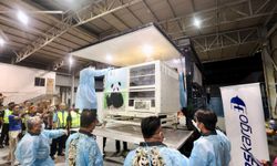 Çin'den yola çıkan dev panda çifti Malezya'ya ulaştı