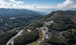 Çin'in Baoshan kenti, dünyanın yetiştirilmesi en zor bitkilerinden wasabi üretimiyle öne çıkıyor