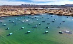 Çin'in Yüksek İrtifa Gök Akımı Gözlemevi, kozmik ışınların algılanmasında yüksek doğruluk payıyla öne çıkıyor