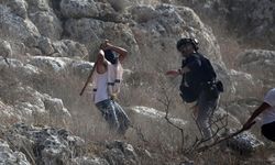 İsrailli yerleşimcilerin Batı Şeria'da zeytin hasadı yapan Filistinlilere yönelik saldırıları arttı