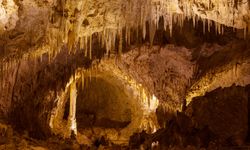 Meksika'da bir mağazada patlama: En az 22 ölü