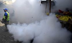 Pakistan'da dang hummasına karşı yoğun önlemler alınıyor