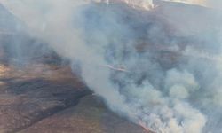 Yeni Zelanda'daki Tongariro Ulusal Parkı'nda çıkan orman yangını 2.500 hektardan daha geniş alana yayıldı