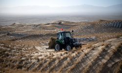 Çin'in Aksay Kazak Özerk İlçesi'ndeki Kumtag Çölü'nde restorasyon projesi titizlikle yürütülüyor