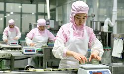 Çin'in Caoxian ilçesi evcil hayvan ürünleri pazarının küresel merkezi olma yolunda hızla ilerliyor