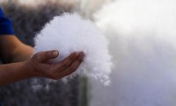 Çin'in Gangnan ilçesinin yıllık kaz tüyü üretim hacmi 90.000 tona ulaştı