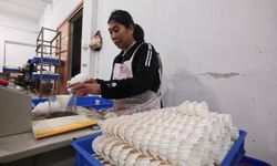 Çin'in Lu'an kenti, kaz tüyü alanında küresel tedarikçi konumuna yükseldi