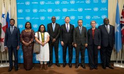 5 ülke BM Güvenlik Konseyi'nin geçici üyeleri olarak göreve başladı