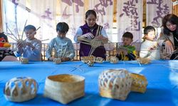 Çin'in bambu sektörünün yıllık üretimi yaklaşık 75 milyar dolara ulaştı