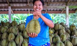 Çin'in Wuhan kentiyle Tayland'ın başkenti Bangkok arasında yeni direkt hava kargo rotası açıldı