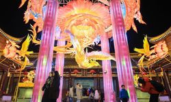 Çin'in Nanjing kentinde düzenlenen fener festivali renkli görüntülere sahne oldu