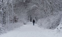 Hollanda'da aşırı kar yağışı nedeniyle turuncu alarm verildi