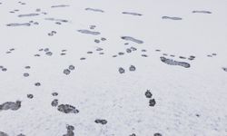 Japonya'da rekor kar yağışı: 2.000'den fazla kişi havalimanında mahsur kaldı