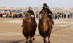 Moğolistan'da düzenlenen deve festivalinde deve çobanları kıyasıya yarıştı