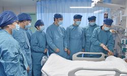 Çin'de akut karaciğer yetmezliğinde genetiği değiştirilmiş domuz karaciğeri kullanıldı