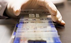 Çin'de yayımlanan bilimsel dergilerin küresel etkisi arttı