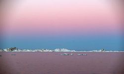 Grönland Başbakanı: Trump'ın Grönland'a hastane gemisi göndermesini istemiyoruz