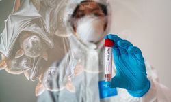 Myanmar'ın Yangon Havalimanı'nda Nipah virüsüne karşı güvenlik kontrolleri artırıldı